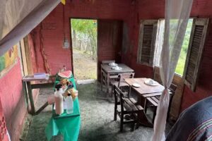 Red&aacute;rio Gengibre Hostel