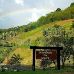 Ref&uacute;gio da Mata