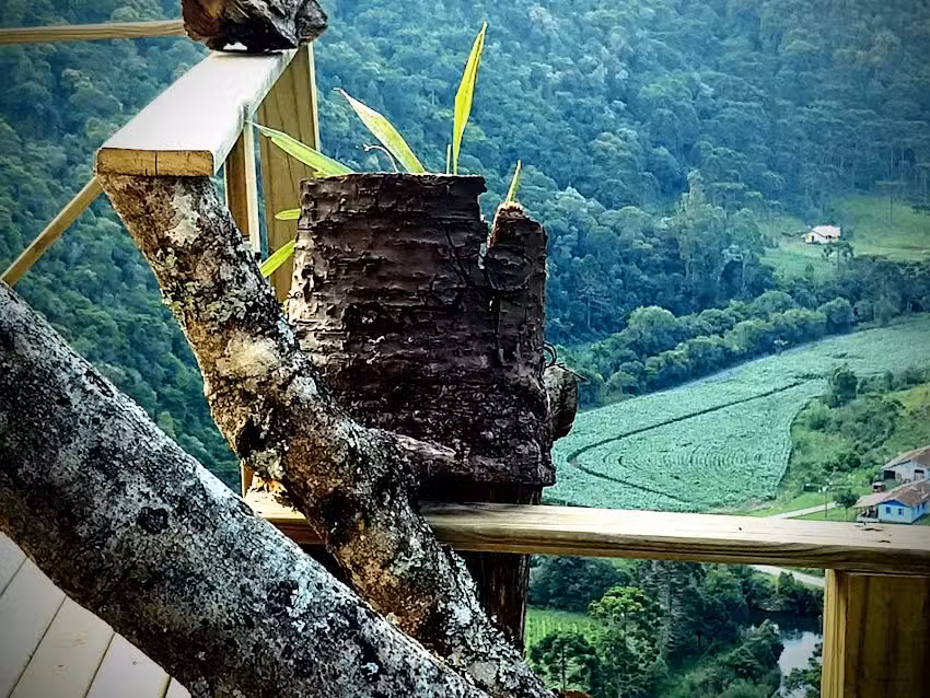 Refugio das Arauc&aacute;rias