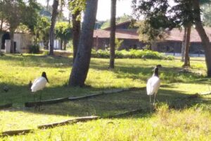 Ref&uacute;gio Ilha do Caracar&aacute;