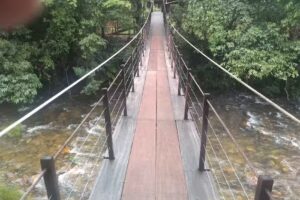 Ref&uacute;gio Mundo dos P&aacute;ssaros