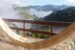 Reprograma&ccedil;&atilde;o Neuro Celular