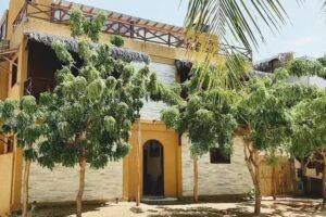 Residencial Bem-te-vi Jericocoara