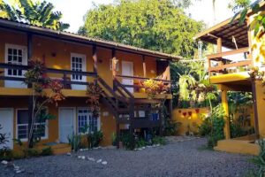 Rocksroses surf home