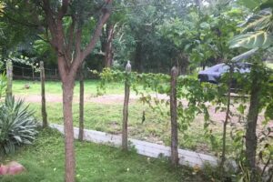 São Miguel do Eutrópio