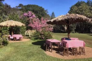 Sau&aacute; Pousada Gourmet