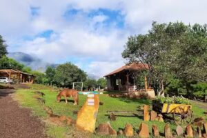 S&iacute;tio Amborella &ndash; Cabanas