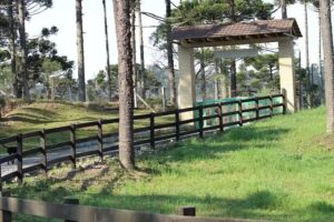 S&iacute;tio Arapongas