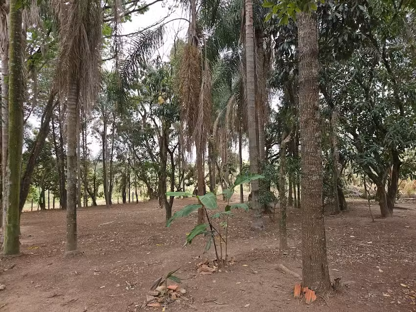 S&iacute;tio Boa Esperan&ccedil;a &ndash; Porto Feliz &ndash; SP