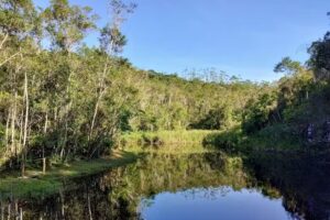 S&iacute;tio Espinheiro Negro