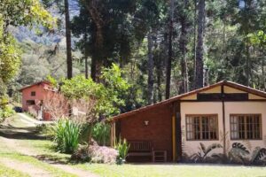 S&iacute;tio Salamandra &ndash; Matutu