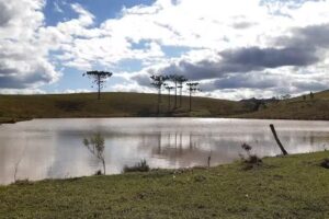 Sitio São José I / Trilha das Cascatas