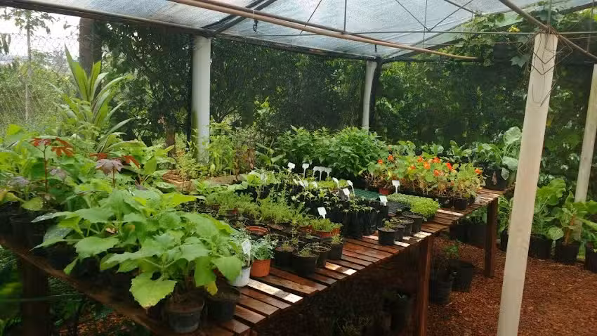 S&iacute;tio Tipuana