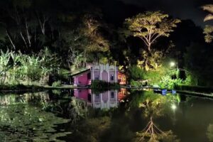 Solar dos P&aacute;ssaros