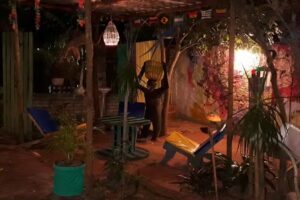 Som da Alegria Hostel