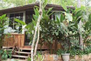 Suite em meio a natureza