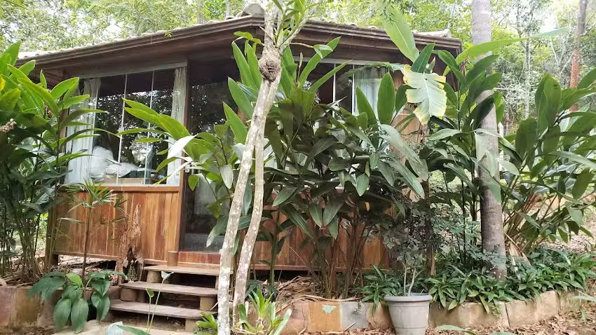 Suite em meio a natureza