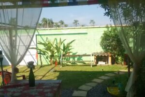 Su&iacute;te Magia Tropical