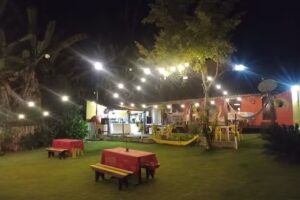 Su&iacute;tes floresta verde