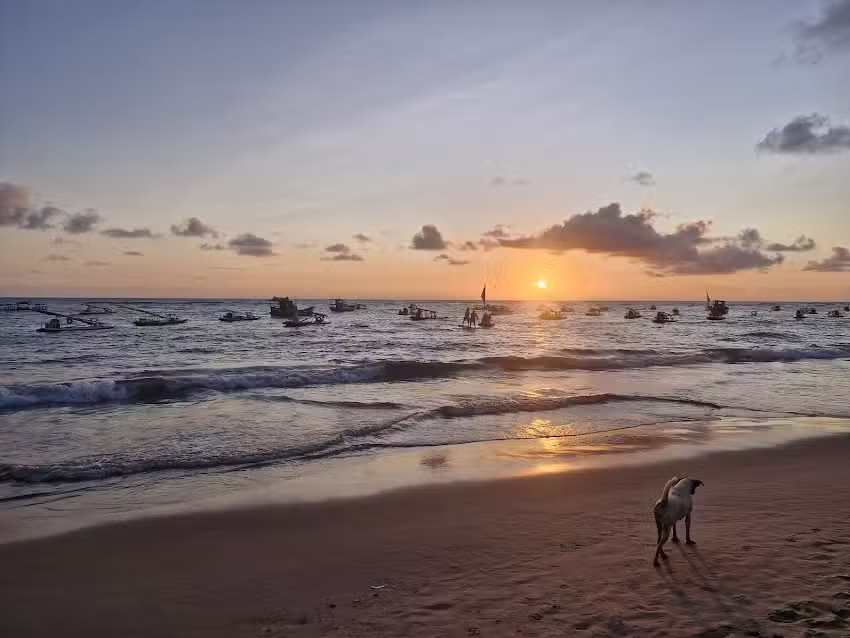 Su&iacute;tes Perto do Mar