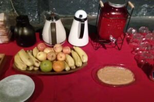 The backpacker cat Hostel