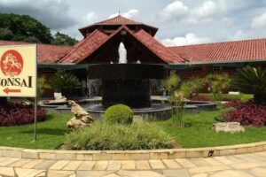 Thermas Internacional de Minas Gerais