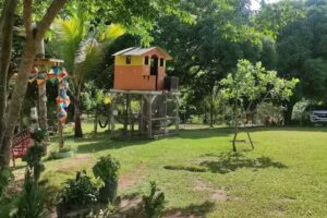 Toca da Coruja Bonito