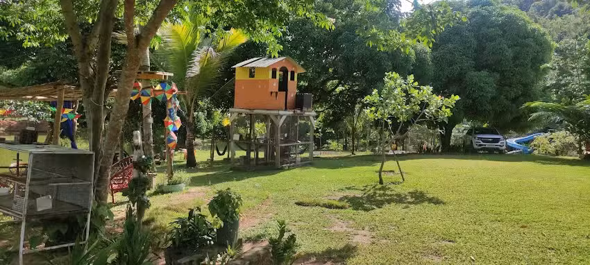 Toca da Coruja Bonito