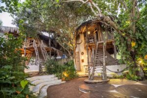 Treehouse Jericoacoara