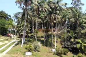 Trilha dos Tucanos Lodge