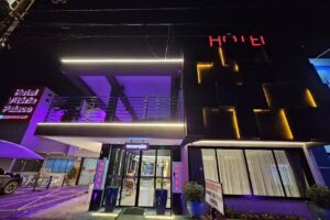 Vit&oacute;ria Palace Hotel