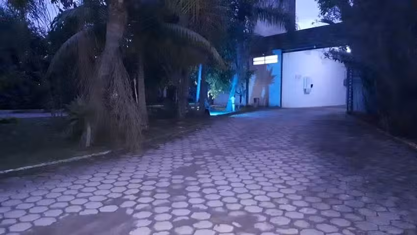 White Motel