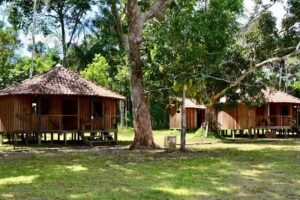 Xixuau Amazon Ecolodge