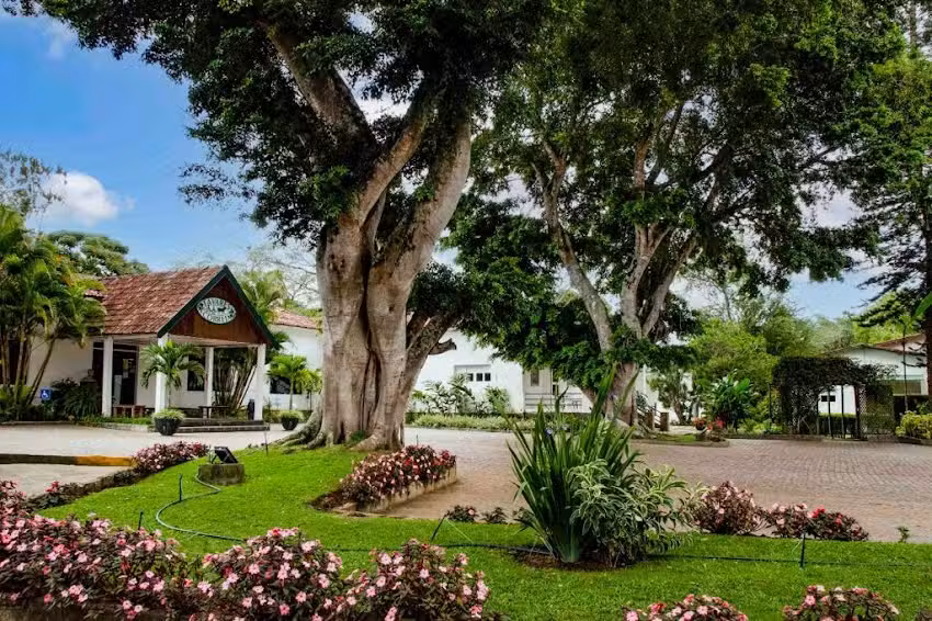 Xod&oacute;zin Hostel