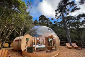 Zion Bubble Glamping